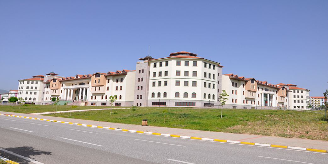 Dumlupınar Üniversitesi 1